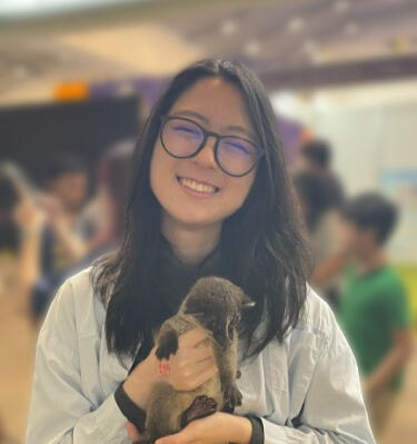 2D Artist